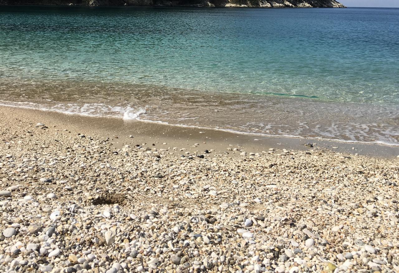 布干维尔岛湾公寓 Sarandë 外观 照片